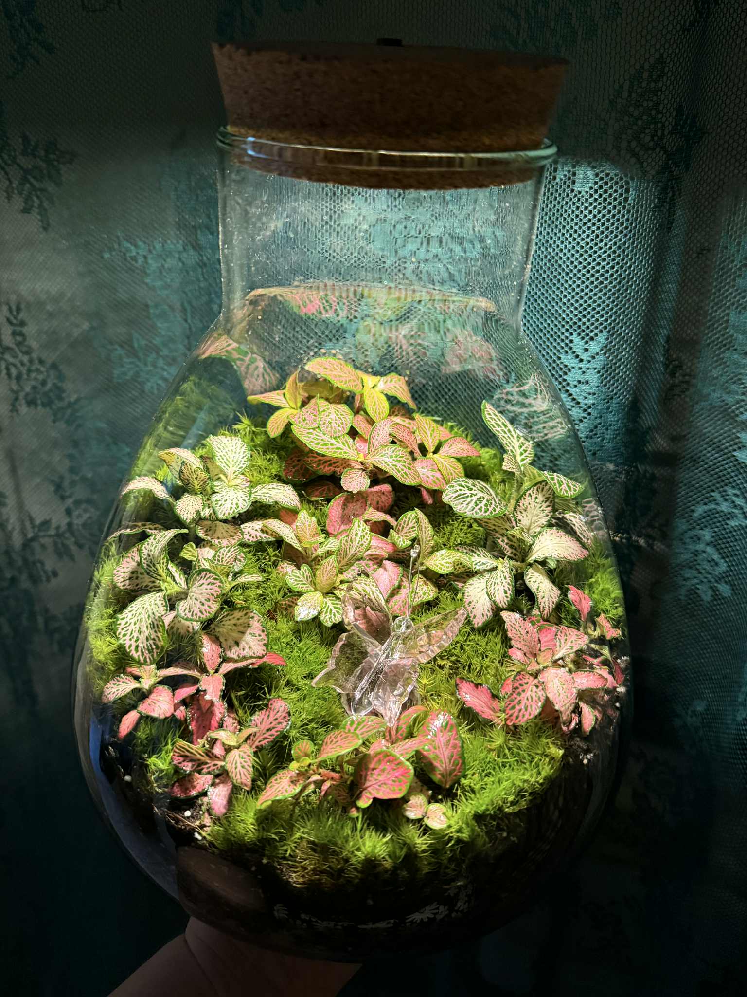 florárium készítés, florárium rendelés, florárium vásárlás, zárt florárium, mini florárium, florárium növények, florárium gondozása, kézműves florárium, florárium árak, egyedi florárium, ajándék florárium, karácsonyi florárium, florárium ajándékba, különleges ajándék növénykedvelőknek, fenntartható ajándék, lakásdekoráció ajándékba, egyedi karácsonyi ajándék, ajándék tanároknak, ajándék nagymamának, ajándék feleségnek, florárium workshop Budapest, florárium építése, florárium készítő tanfolyam, növénygondozási workshop, kézműves workshop Budapest, DIY florárium workshop, florárium készítés lépésről lépésre, florárium oktatás, növényes workshop, csináld magad florárium, születésnapi florárium, anyák napi florárium, esküvői florárium, céges karácsonyi ajándék, ünnepi florárium, évfordulós florárium, Valentin-napi florárium, húsvéti florárium, év végi ajándék ötletek, kolléga búcsúajándék, növénybarátoknak ajándék, kezdőknek florárium, időhiányos növénykedvelők, florárium gyerekeknek, állatbarát lakás dekoráció, kis helyigényű növények, florárium utazóknak, alacsony gondozásigényű növények, lakásba illő florárium, modern lakberendezés floráriummal, florárium webshop, online florárium rendelés, növény dekoráció online, DIY florárium szett, florárium e-book, ajándék rendelés online, zöld dekoráció webshop, fenntartható lakberendezés webshop, különleges növények online, egyedi florárium webshop, florárium Budapest, florárium Pest megye, florárium vidéken, florárium Debrecen, florárium Szeged, florárium Győr, kézműves florárium Budapest, florárium megyeszékhelyek, florárium vidéki vásárlóknak, workshop Pest megyében, hogyan gondozzunk floráriumot, florárium öntözése, florárium növények kiválasztása, florárium fényigénye, florárium tisztítása, hibák, amiket elkerüljünk florárium gondozásakor, florárium trópusi növényekkel, hosszú élettartamú florárium, florárium kezdőknek, florárium karbantartása.