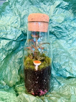 Gombácska florárium