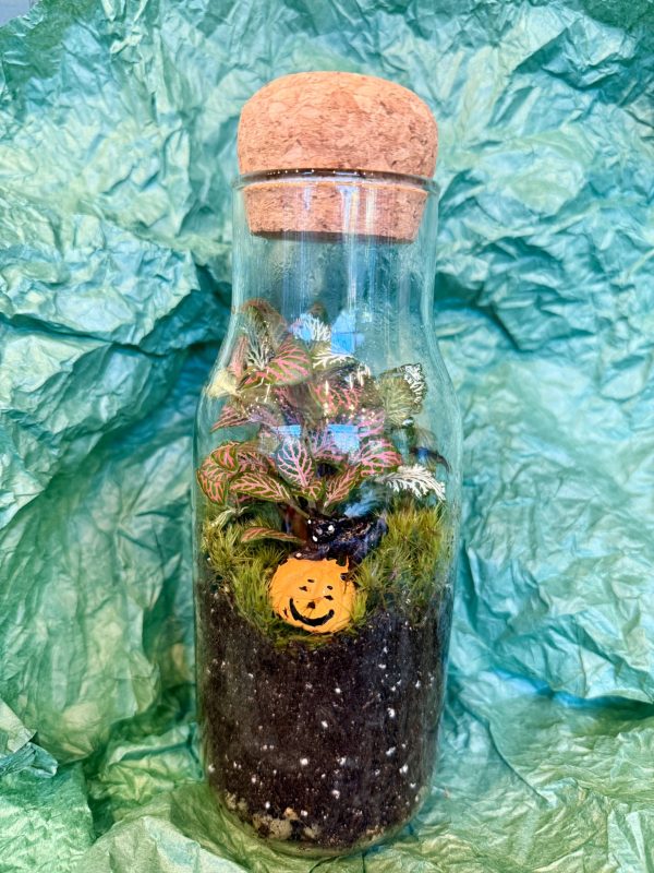 Halloween florárium