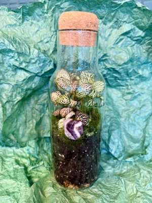Ametiszt florárium (nagy)