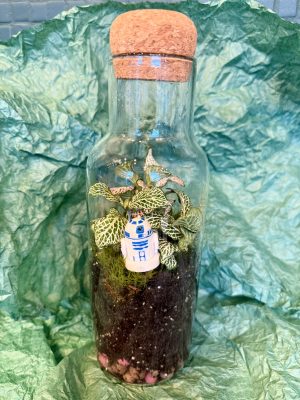 R2D2 florárium (nagy)