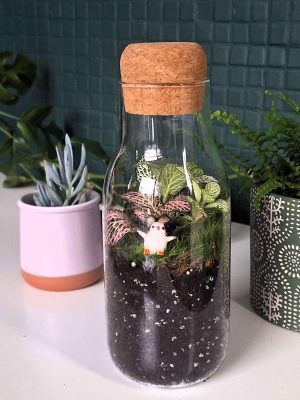 Madárkás florárium