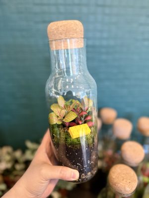 Lego florárium