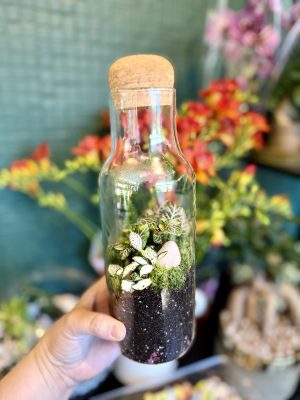 Rózsakvarc florárium