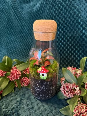 Gombácska florárium