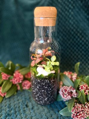 Heverésző cicás florárium