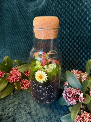 Margarétás florárium