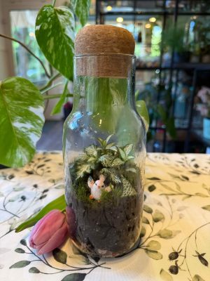 Madárkás florárium