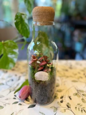 Rózsakvarc florárium