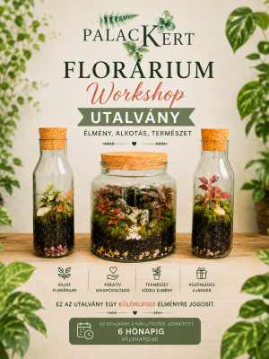 Florárium workshop utalvány