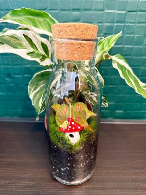 Gombaházakban lakunk florárium