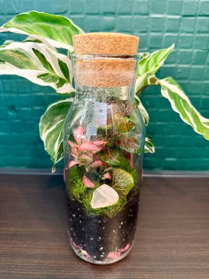 Hegyikristály florárium