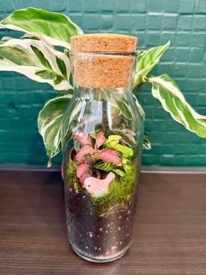 Pintyőke florárium