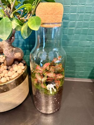 Üldögélő cica florárium