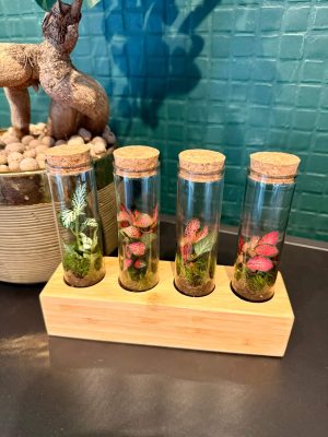 Miniflorárium válogatás