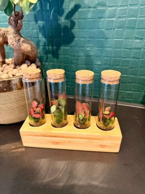 Miniflorárium válogatás