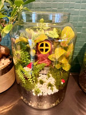 Manólak florárium