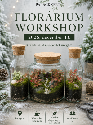 Florárium workshop 12.13