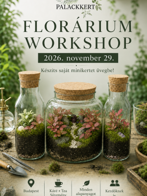 Florárium workshop 11.29