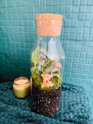 Macis florárium