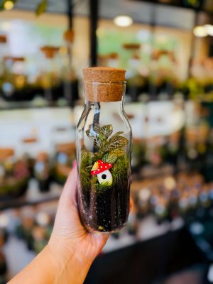 Gombaház florárium