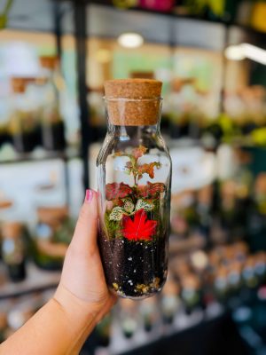 Juharlevél florárium