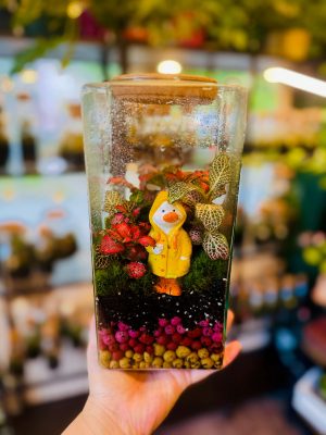 Esőkabátos kiskacsa florárium