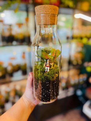 Kalózos florárium