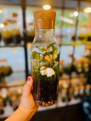 Jegesmackó florárium
