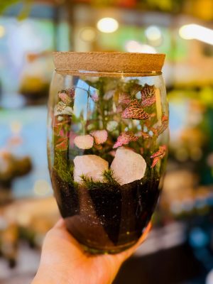 Rózsakvarc florárium
